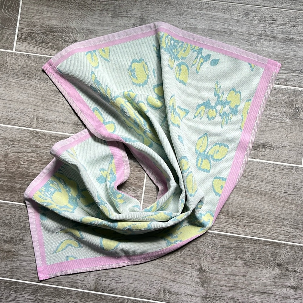 Anthropologie Emery Jacquard Dishtowel New